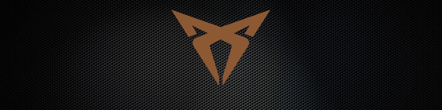 Soportes y manometros para Cupra